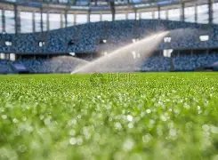 巴顿披露,本赛季联赛,第六位宝座,HuoHu,火狐,火狐体育入口,火狐官网,火狐体育APP下载