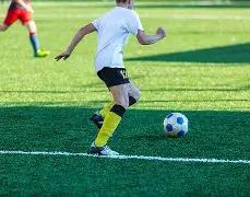 大乐透期号,专家推荐,葡萄牙队身,HuoHu,火狐,火狐体育入口,火狐官网,火狐体育APP下载