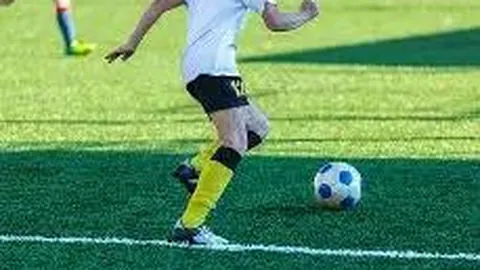 大乐透期号专家推荐：葡萄牙队身价榜解析，内维斯、维蒂尼亚领衔